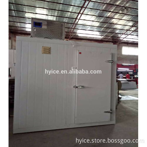 small one machine cold storage
